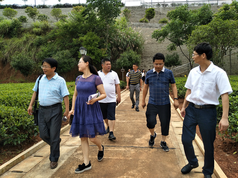 長沙云游茶業(yè)有限公司,湖南綠茶,紅茶價(jià)格,長沙毛尖批發(fā),云游陶餈禮盒,云游茶業(yè) 長沙云游茶業(yè)有限公司,湖南綠茶,紅茶價(jià)格,長沙毛尖批發(fā),云游陶餈禮盒,云游茶業(yè)